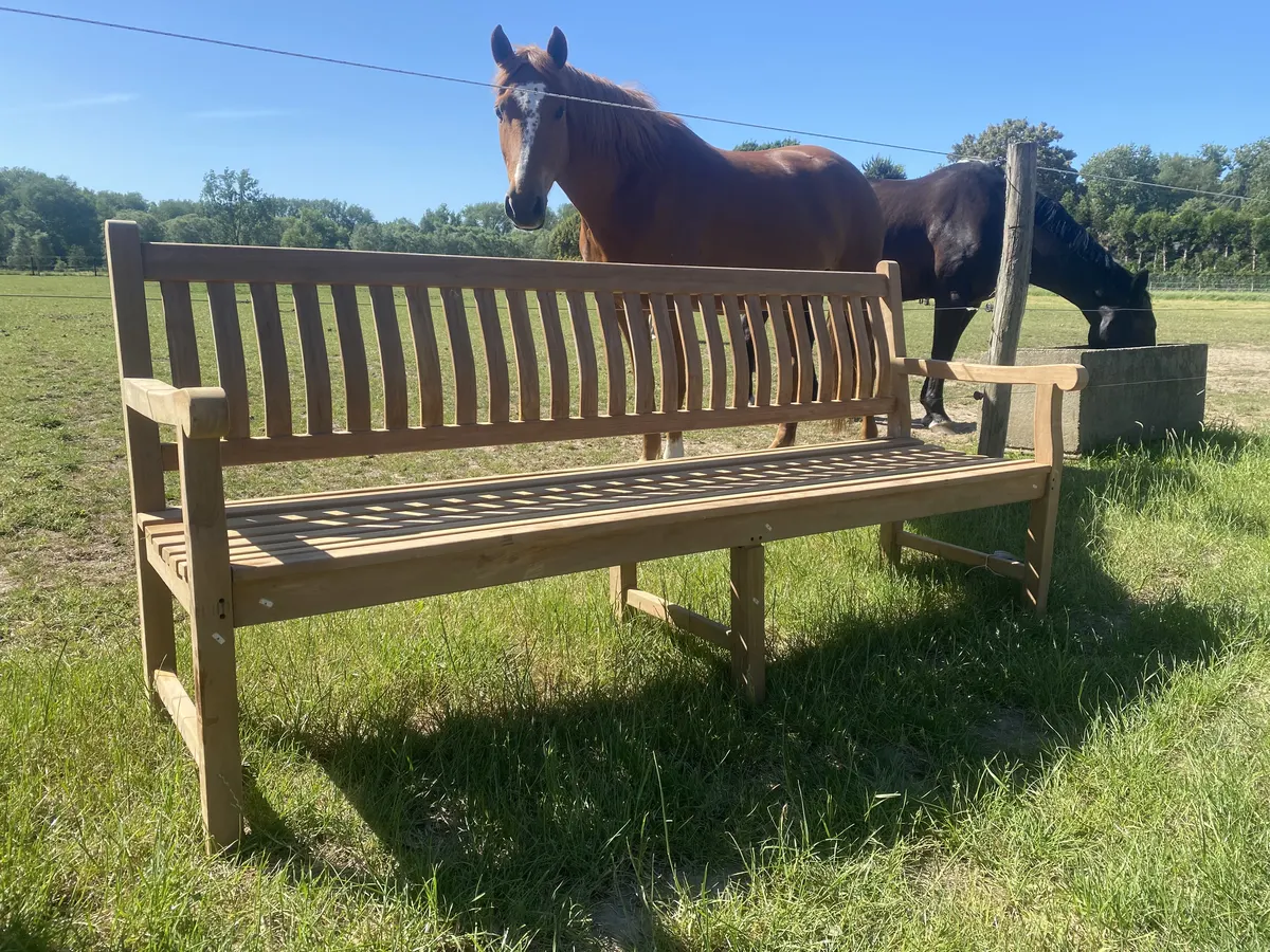 Teakhouten tuinbank van 210 cm in een wei, met twee paarden erachter