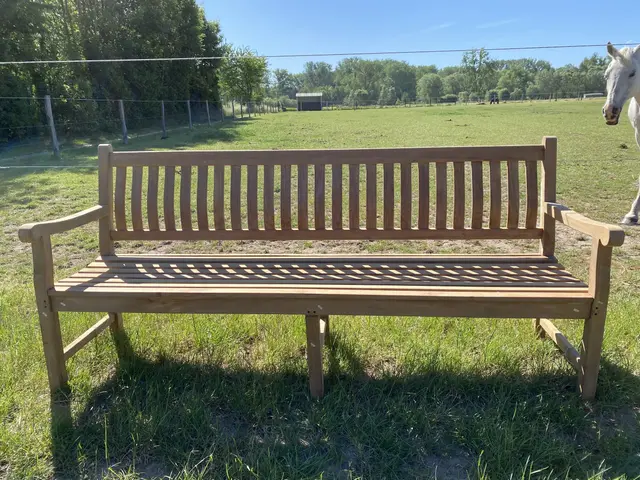 Teakhouten tuinbank 250 cm
